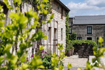 Maison ardennaise pour 2 personnes à Ferrières