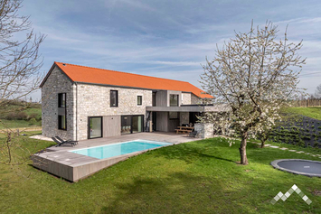 Villa de standing avec piscine extérieure et sauna pour 14 personnes à Limbourg