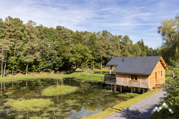  Cabane & Hutte pour 4 personnes à Gedinne